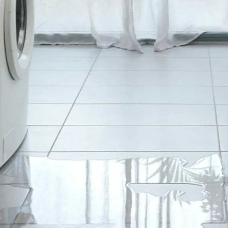 Appliance Leak Cleanup in Oswego, IL