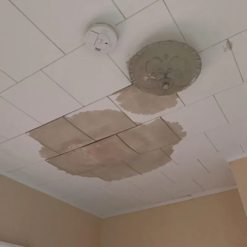 Ceiling Water Damage Repair in Oswego, IL