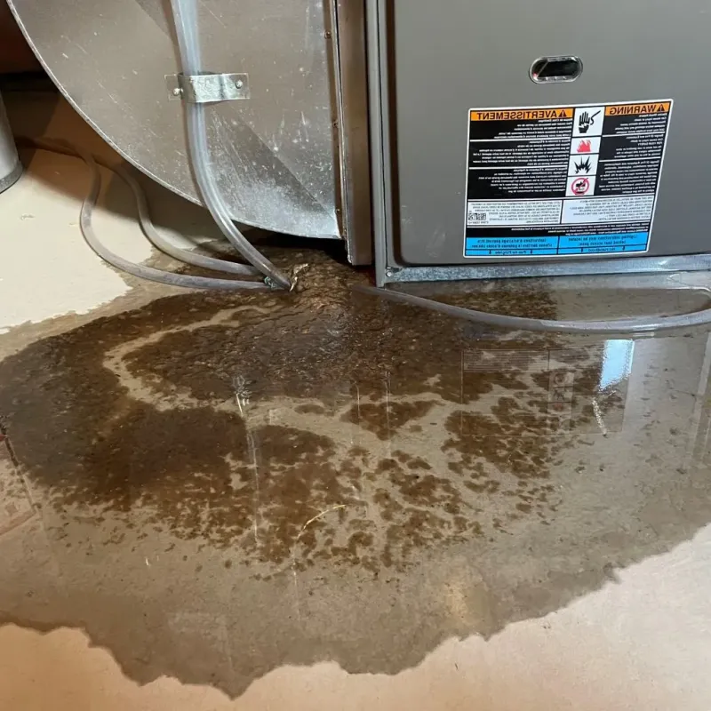 Pipe Burst and Leak Restoration in Oswego, IL