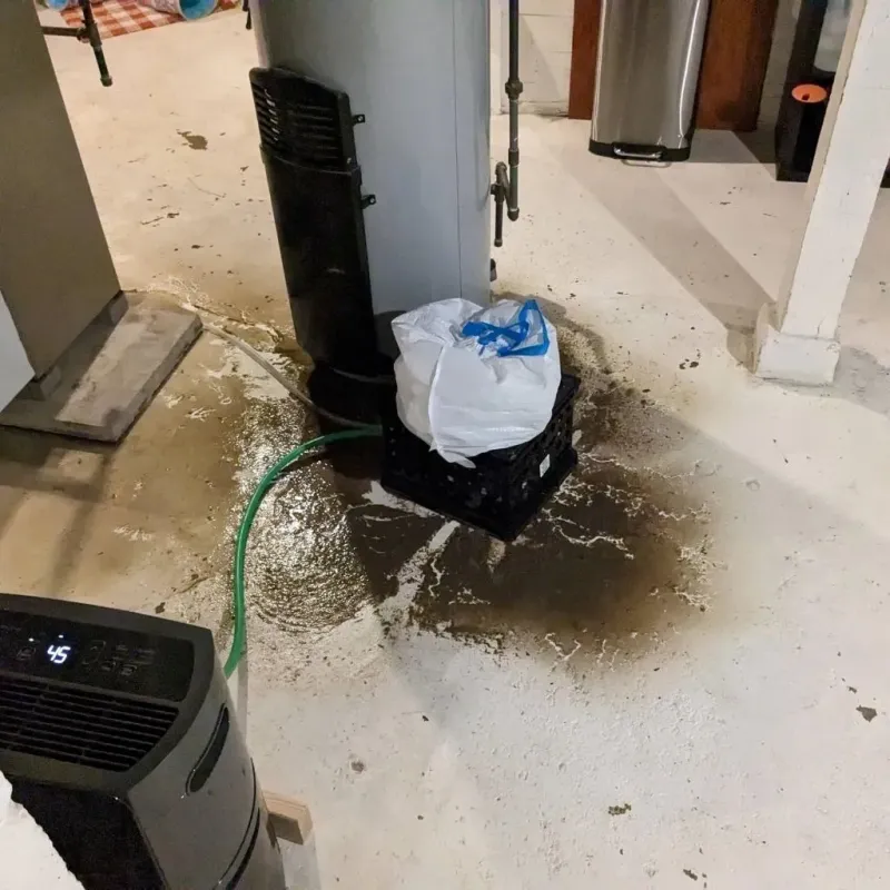 Sewage Backup Cleanup Service in Oswego, IL